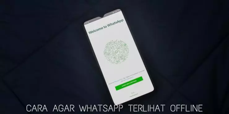 Cara Agar Whatsapp Terlihat Offline Dengan Mudah