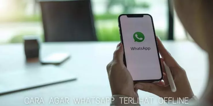 Fungsi Mematikan Tampilan Online Pada Aplikasi Whatsapp