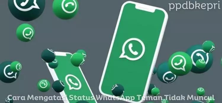 Cara Mengatasi Status WhatsApp Teman Tidak Muncul dengan Mudah